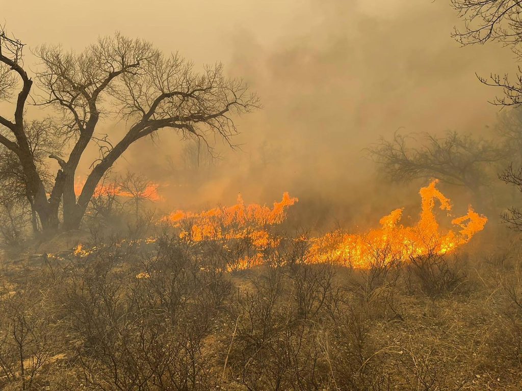 The largest wildfire in state history burns in the Texas Panhandle.