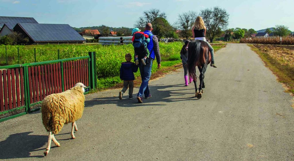 Andrej Lovse takes his children on a walk through the Slovenian countryside, accompanied by Charlie Brown (horse) and Lenny (sheep).